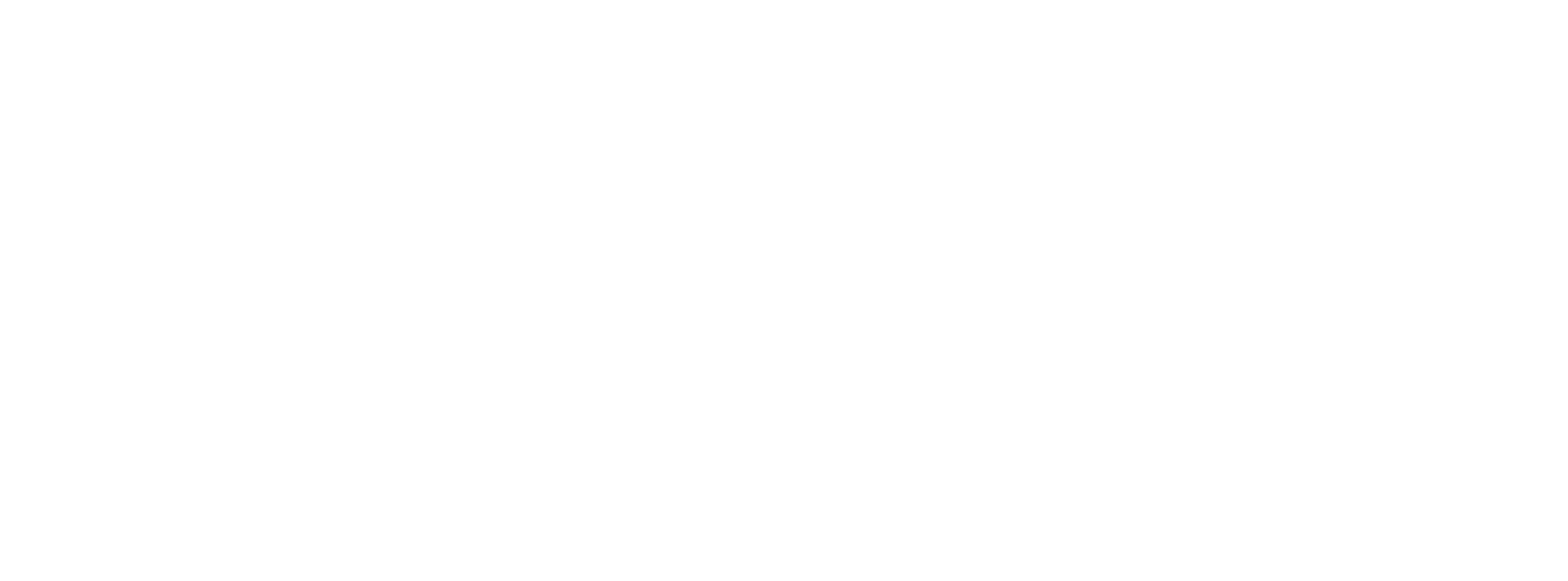 Bouwhuysch Logo